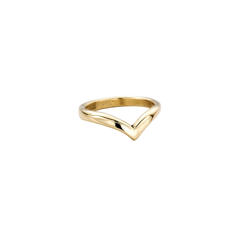Gold Wishbone Band