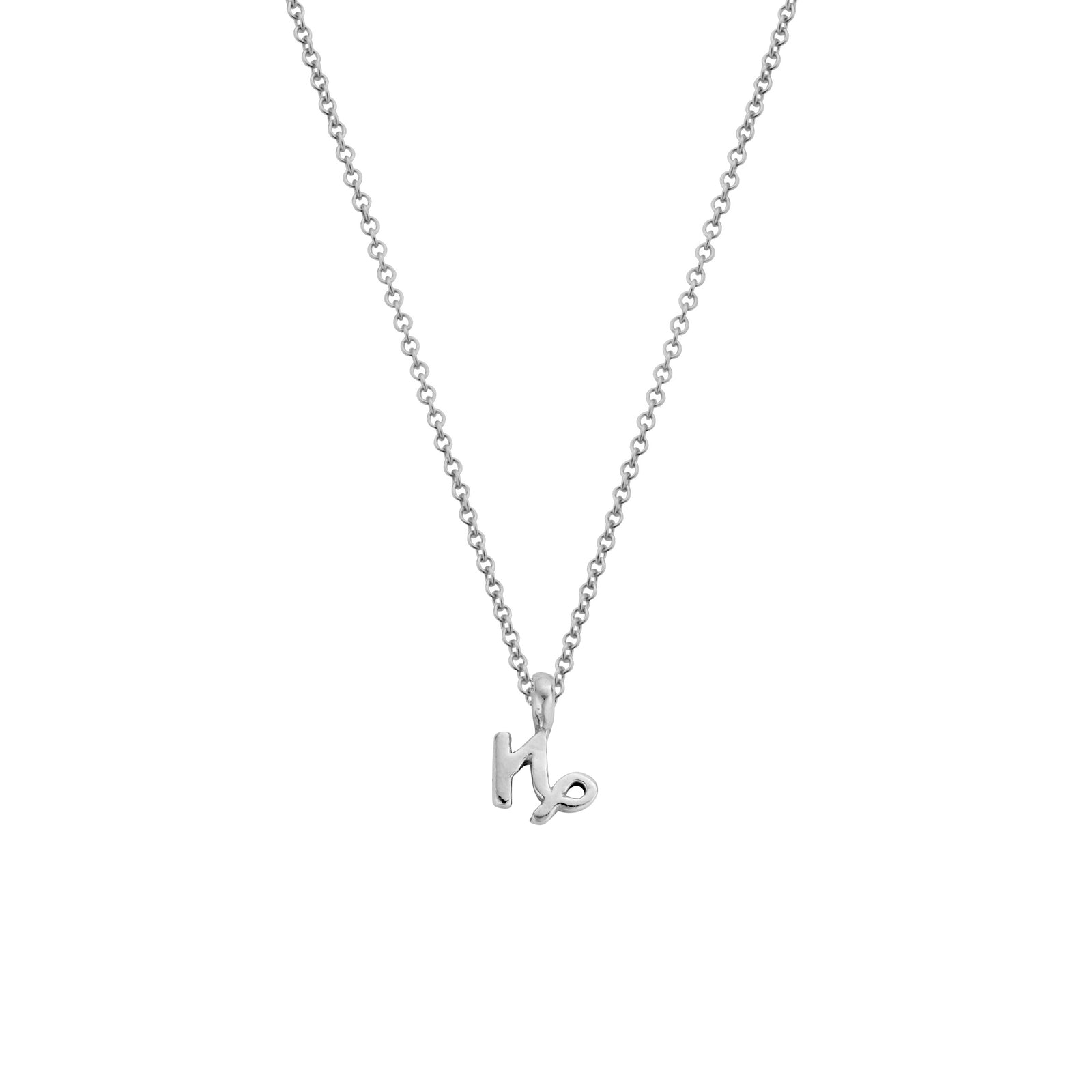 Silver Capricorn Mini Horoscope Necklace