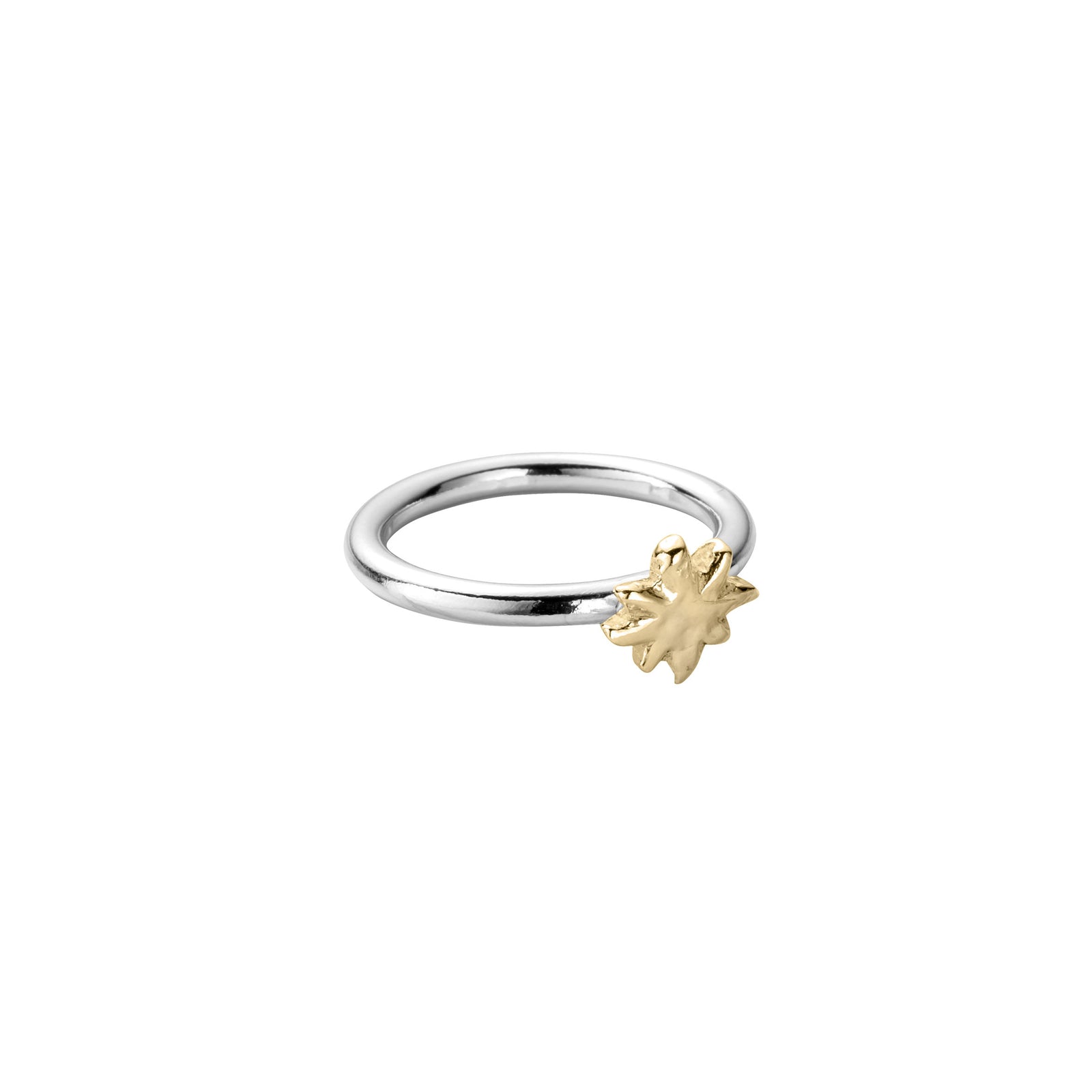 Silver & Gold Baby North Star Love Struck Ring