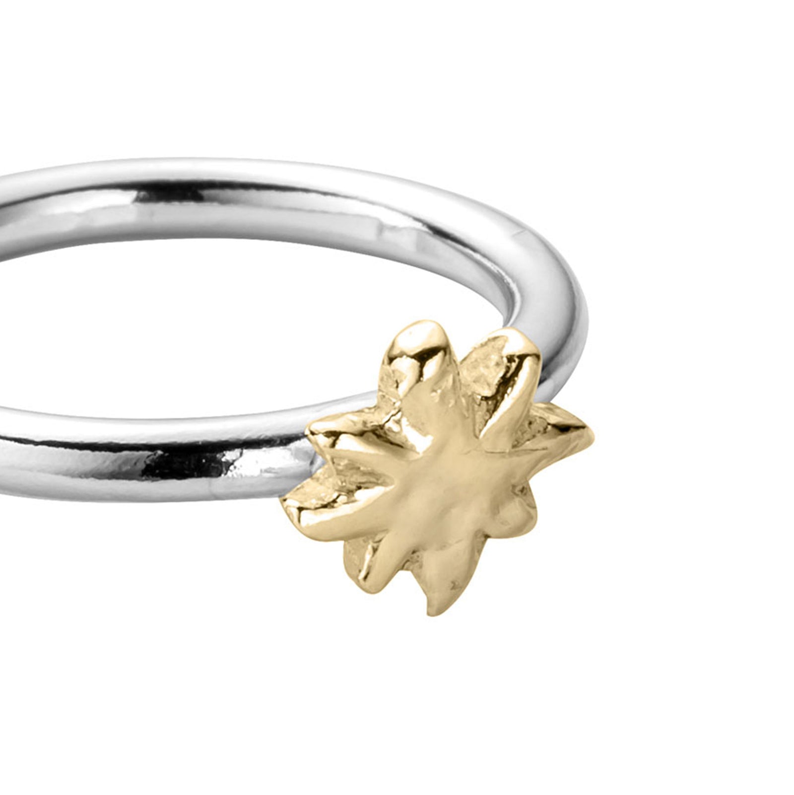 Silver & Gold Baby North Star Love Struck Ring