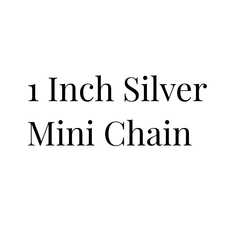 Silver Mini Chain - 1"