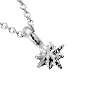 Silver Baby North Star Necklace