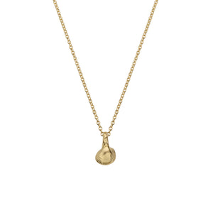 Gold Baby Shell Necklace