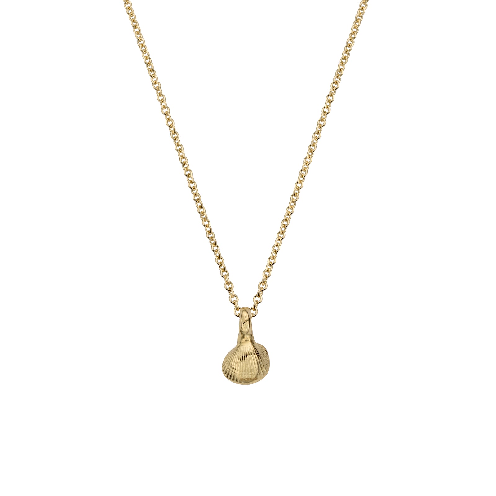 Gold Baby Shell Necklace
