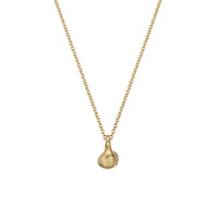 Gold Baby Shell Necklace
