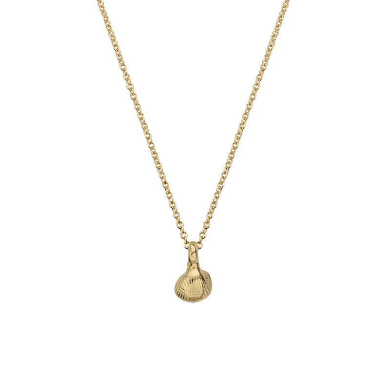 Gold Baby Shell Necklace