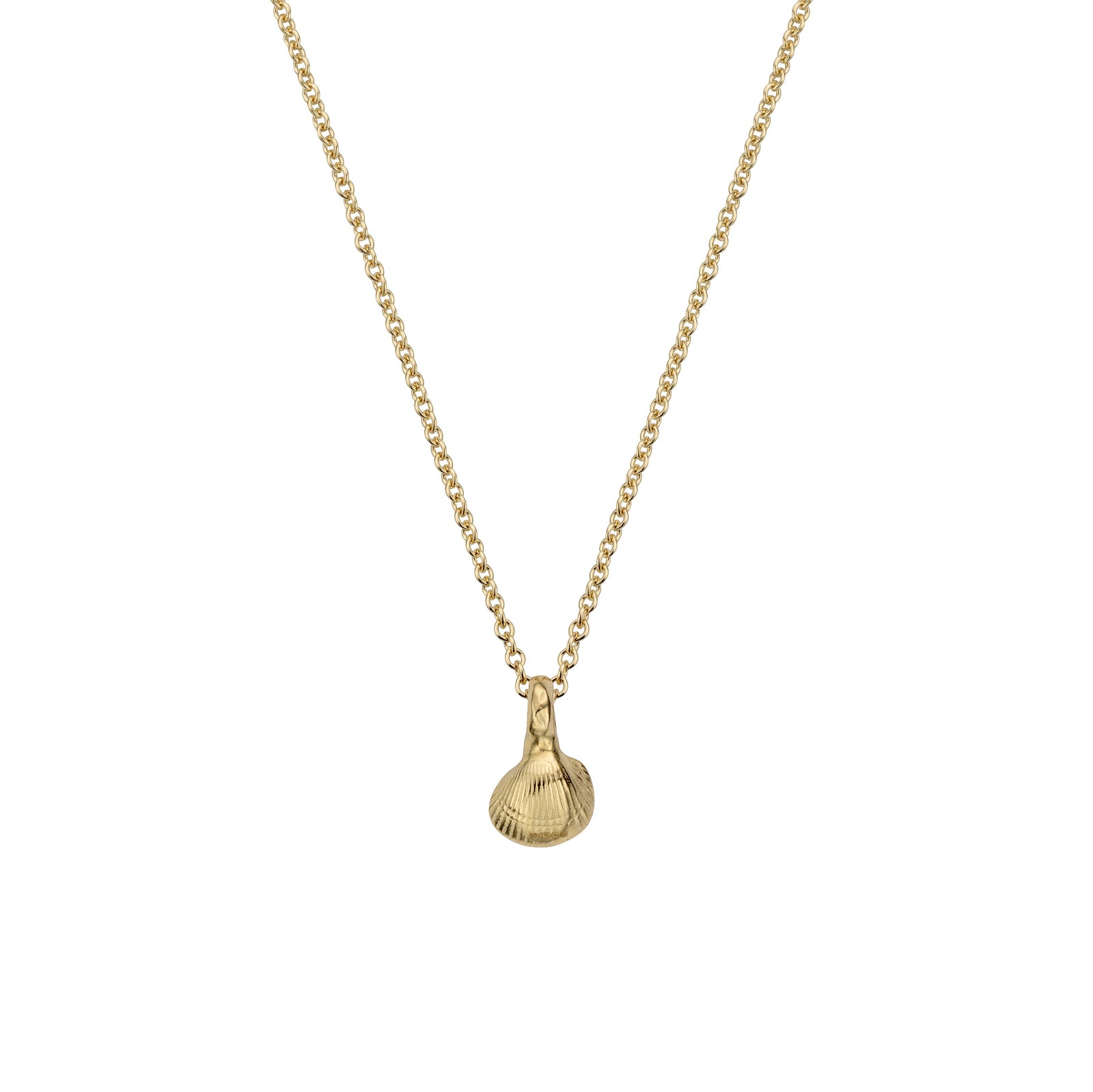 Children's Gold Baby Shell Necklace