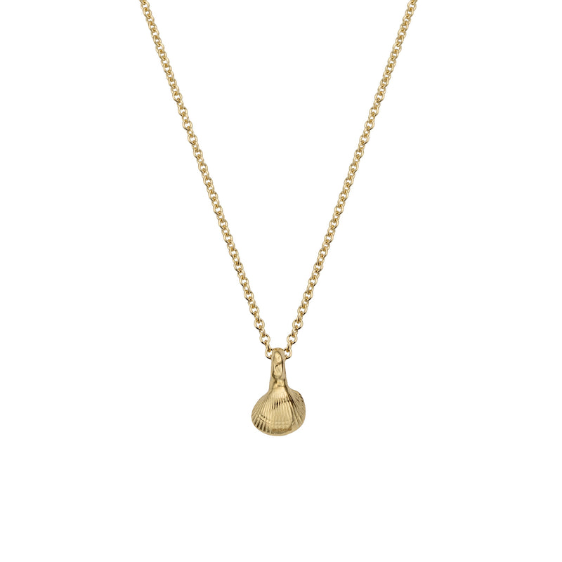 Children's Gold Baby Shell Necklace