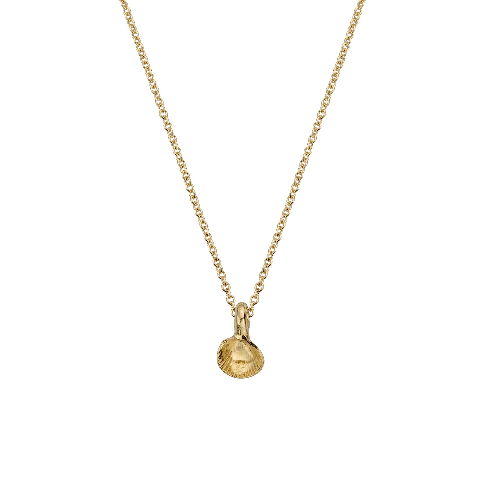 Gold Baby Shell Necklace