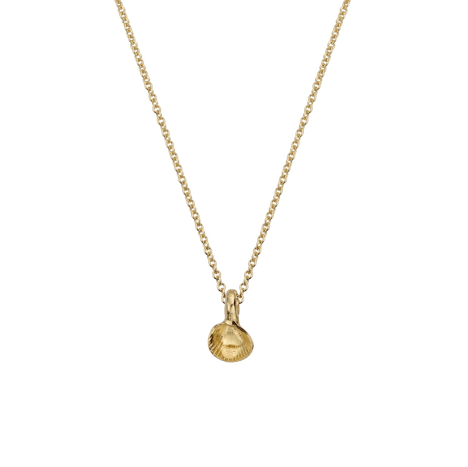 Children's Gold Baby Shell Necklace