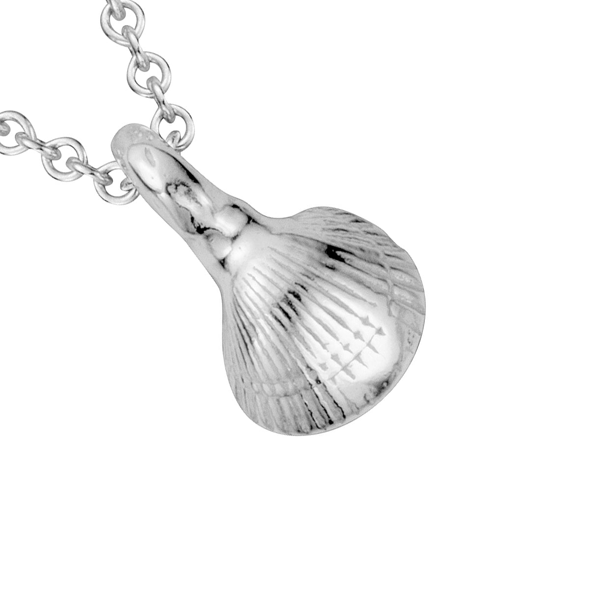 Silver Baby Shell Necklace