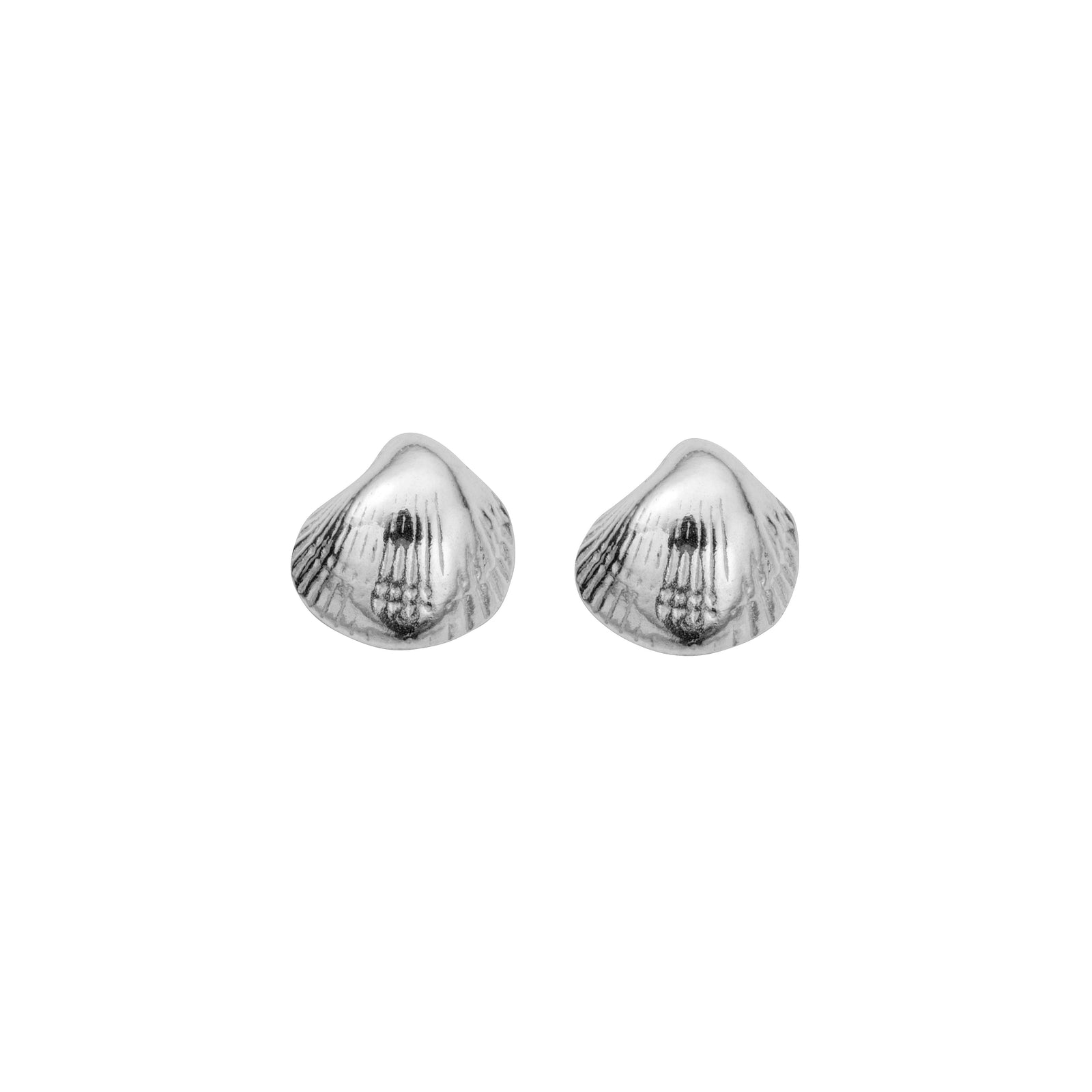 Silver Baby Shell Stud Earrings