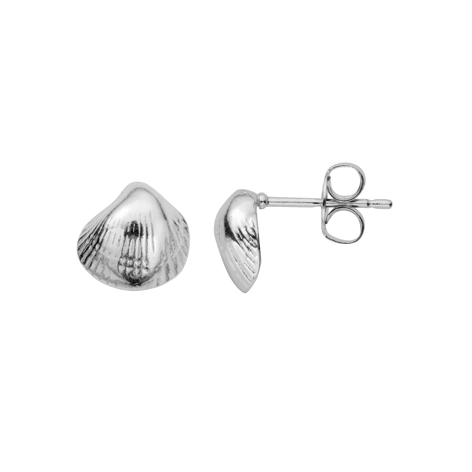 Silver Baby Shell Stud Earrings