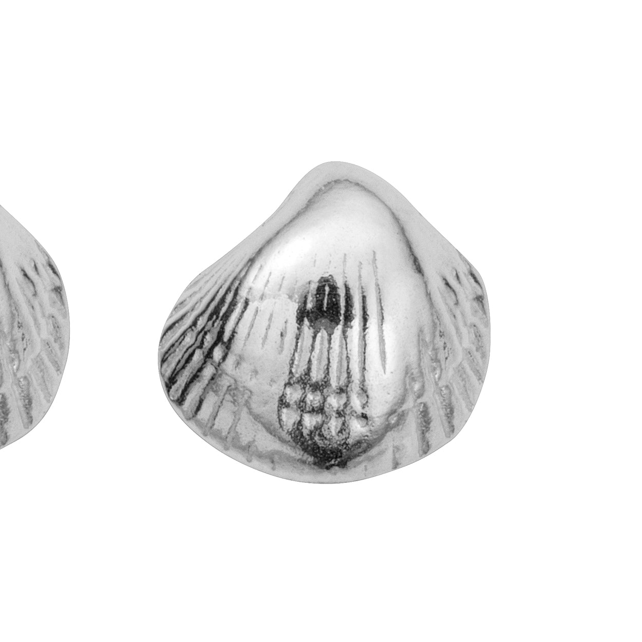 Silver Baby Shell Stud Earrings