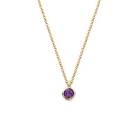 Gold Amethyst Baby Treasure Necklace