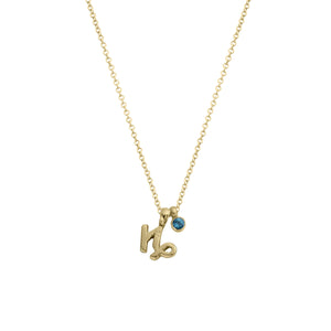 Gold Capricorn Horoscope & Birthstone Necklace