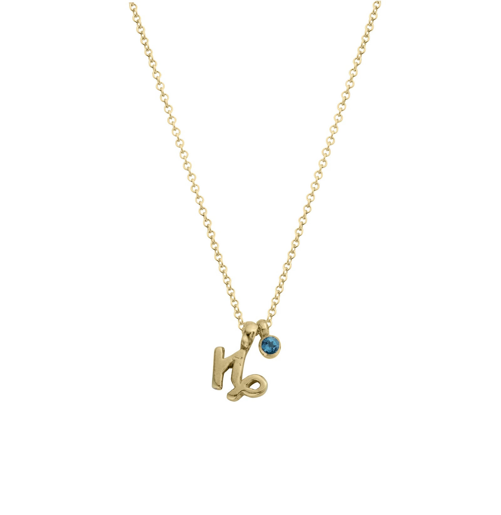 Gold Capricorn Horoscope & Birthstone Necklace