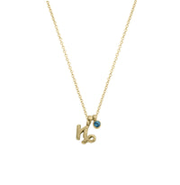 Gold Capricorn Horoscope & Birthstone Necklace