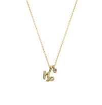Gold Capricorn Horoscope & Birthstone Necklace