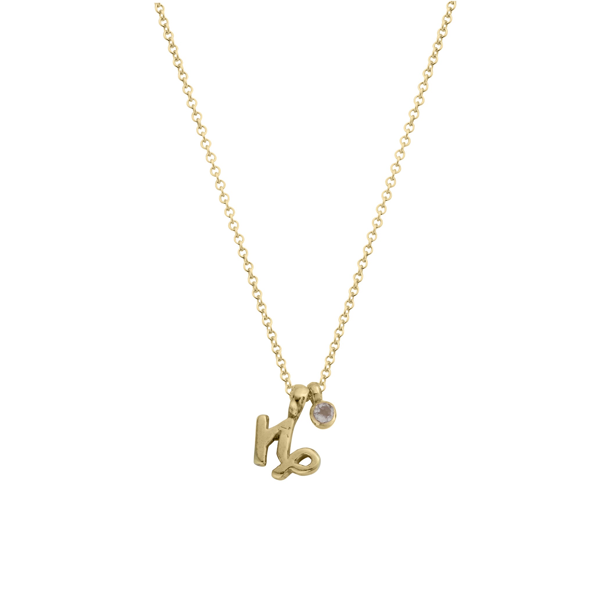 Gold Capricorn Horoscope & Birthstone Necklace