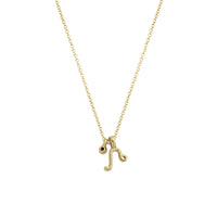 Gold Leo Horoscope & Birthstone Necklace