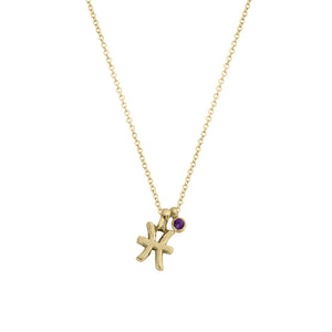 Gold Pisces Horoscope & Birthstone Necklace
