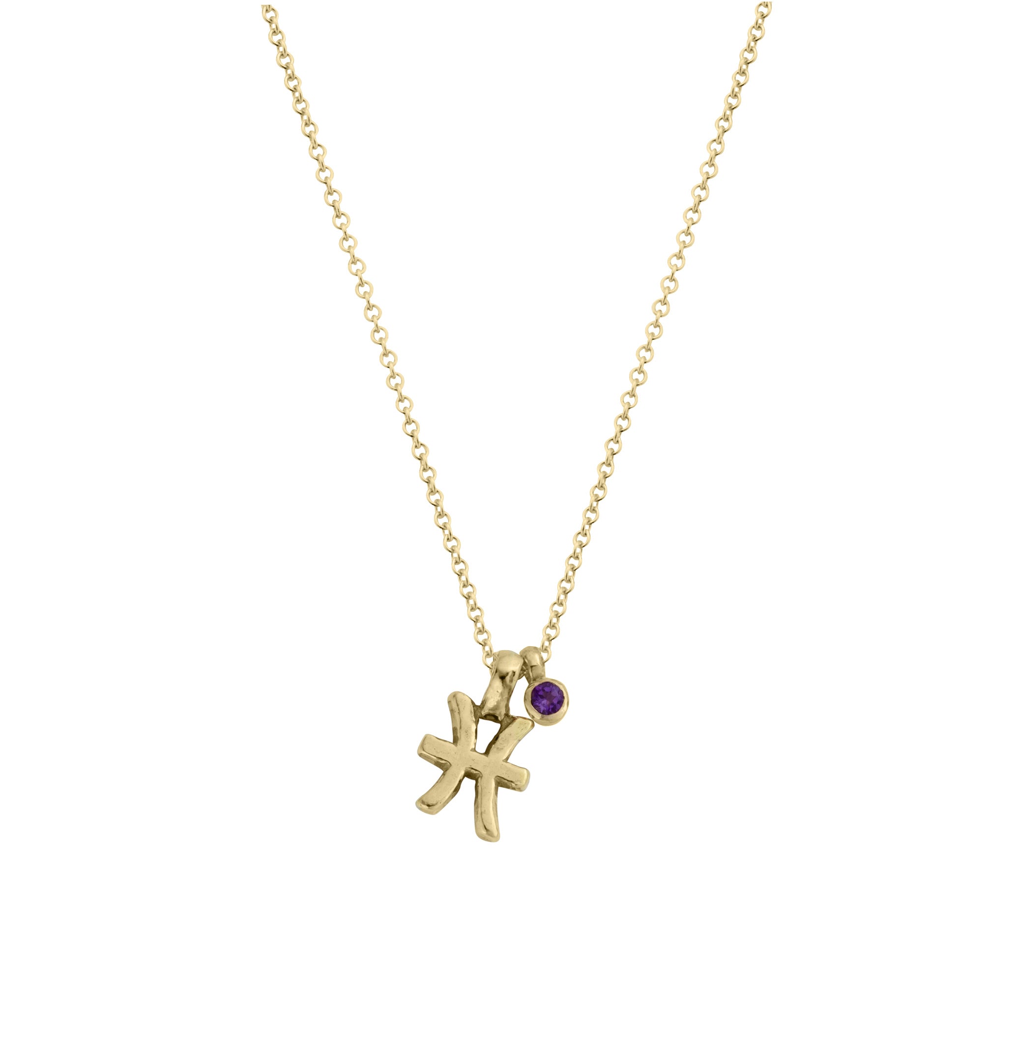 Gold Pisces Horoscope & Birthstone Necklace