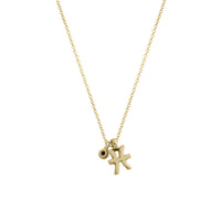Gold Pisces Horoscope & Birthstone Necklace