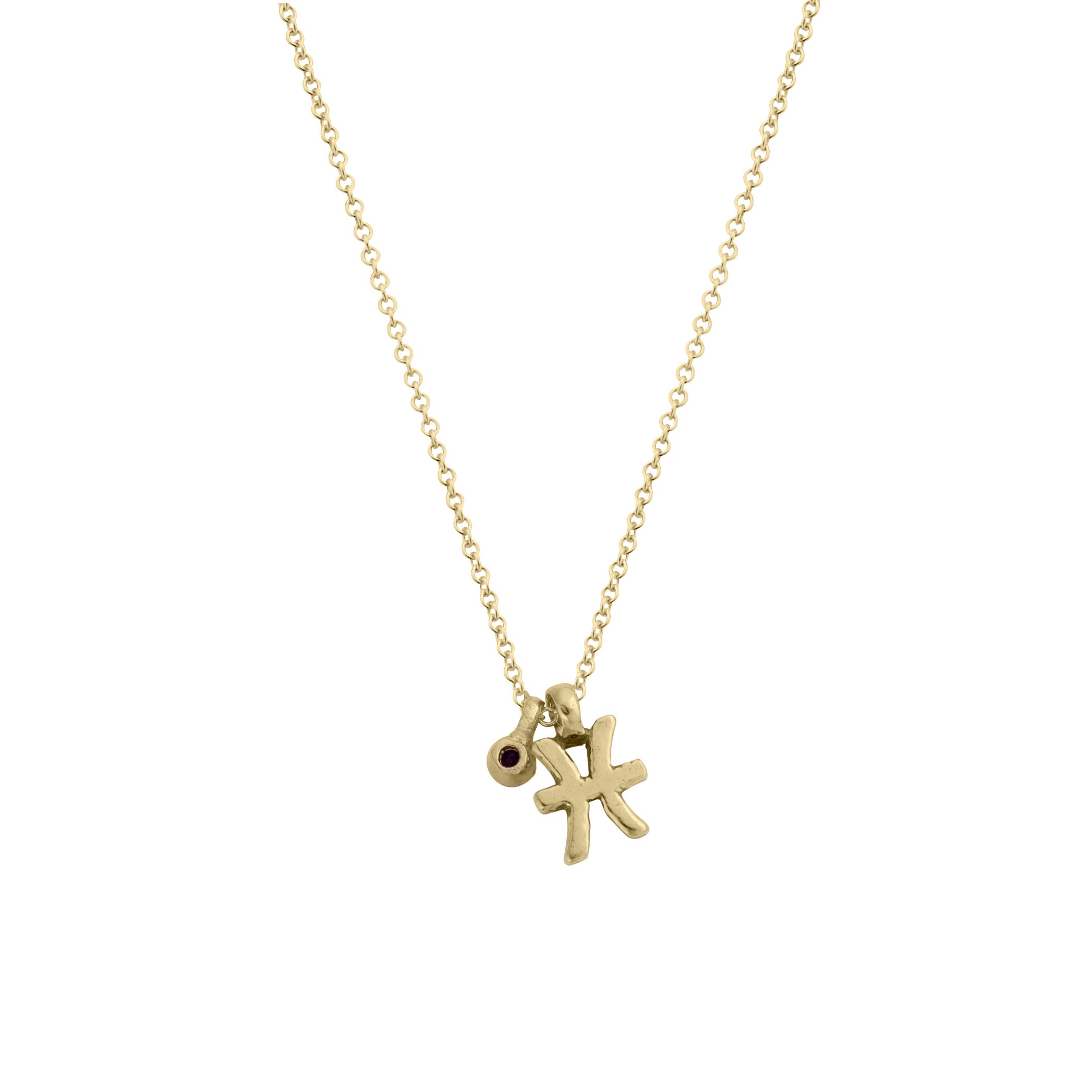 Gold Pisces Horoscope & Birthstone Necklace