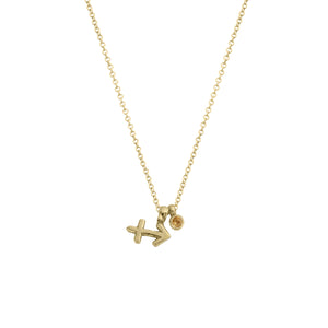 Gold Sagittarius Horoscope & Birthstone Necklace