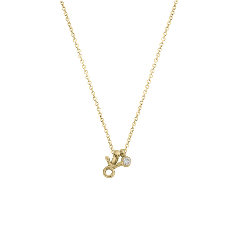 Gold Taurus Horoscope & Birthstone Necklace