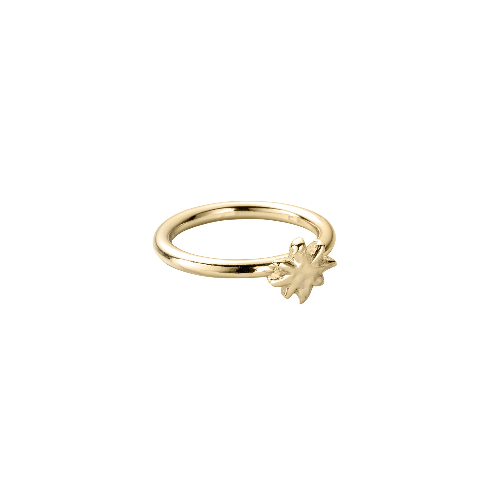 Gold Baby North Star Love Struck Ring
