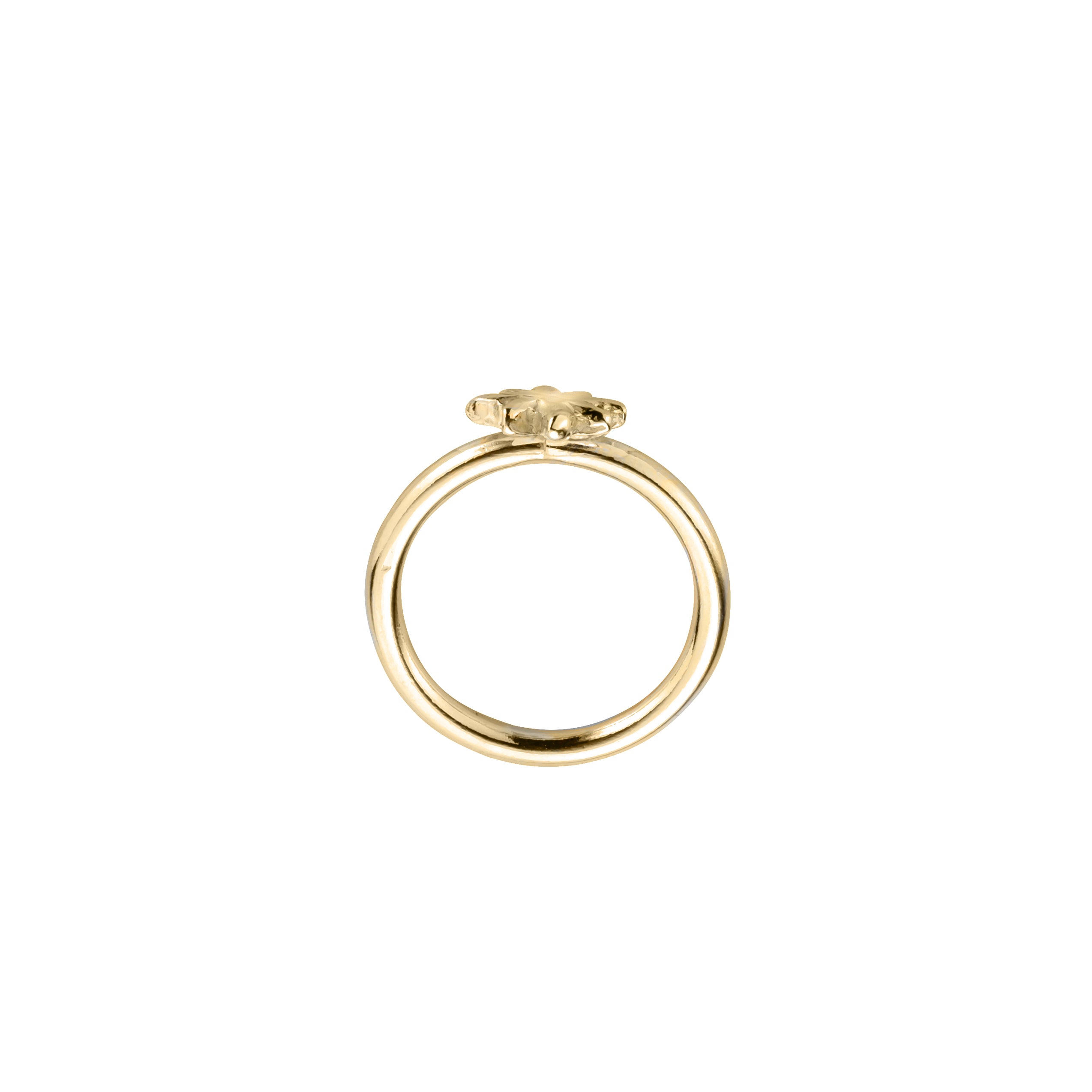Gold Baby North Star Love Struck Ring