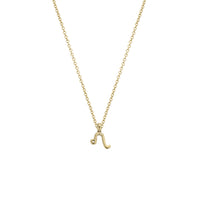 Gold Mini Leo Horoscope Necklace
