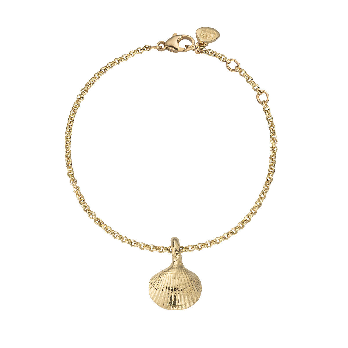 Gold Mini Shell Chain Bracelet
