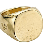 Gold Pebble Signet Ring
