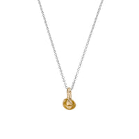 Silver & Gold Baby Shell Necklace