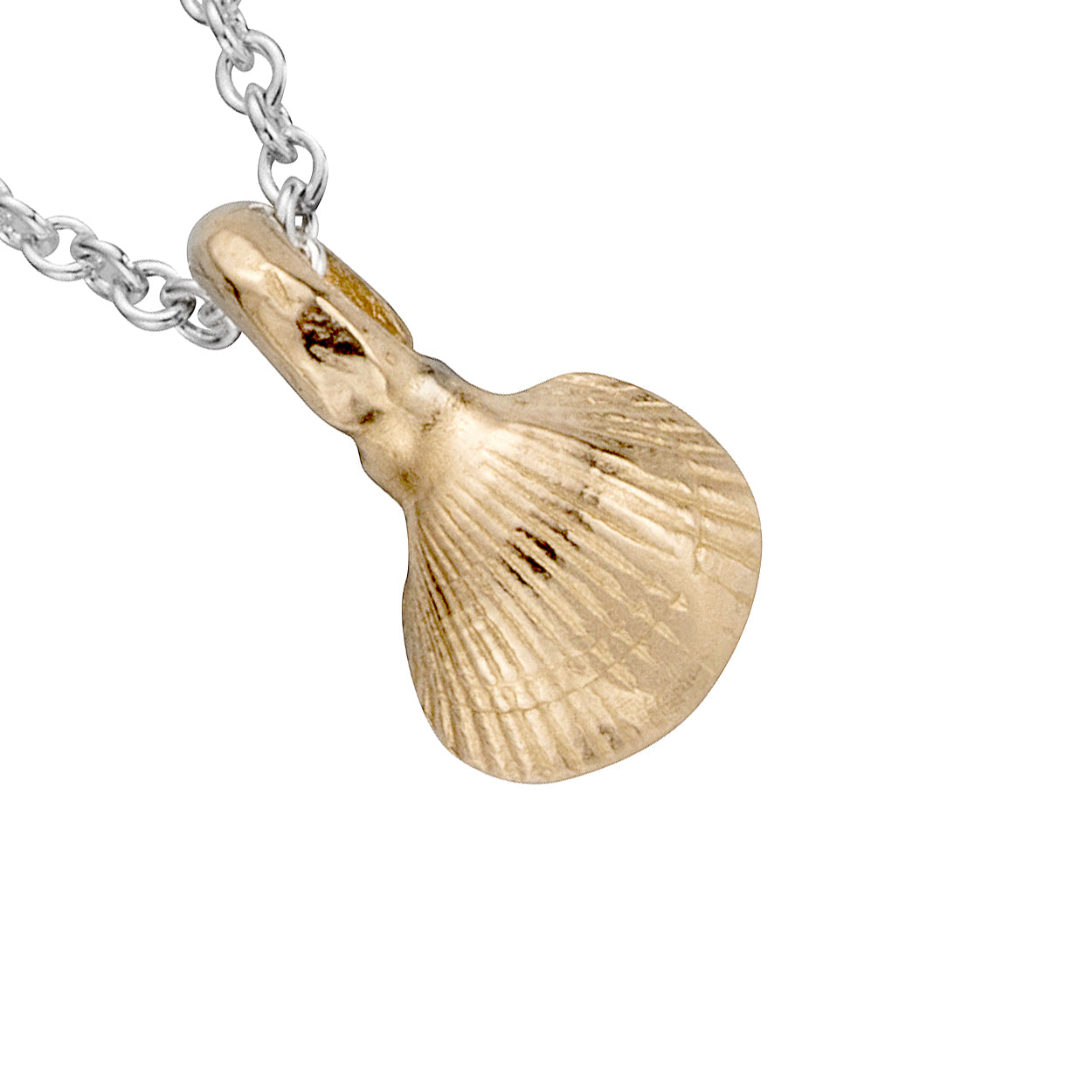 Silver & Gold Baby Shell Necklace