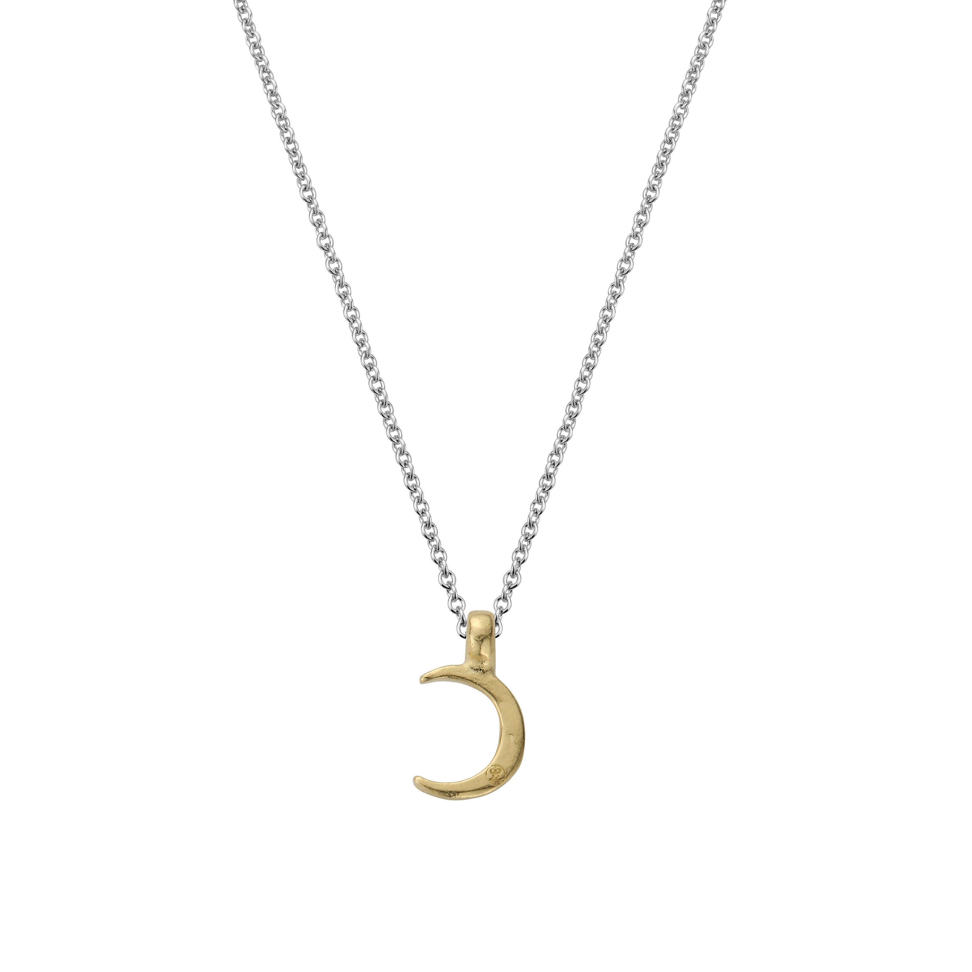 Silver & Gold Mini Crescent Moon Necklace