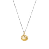 Silver & Gold Mini Shell Necklace