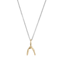 Silver & Gold Mini Wishbone Necklace