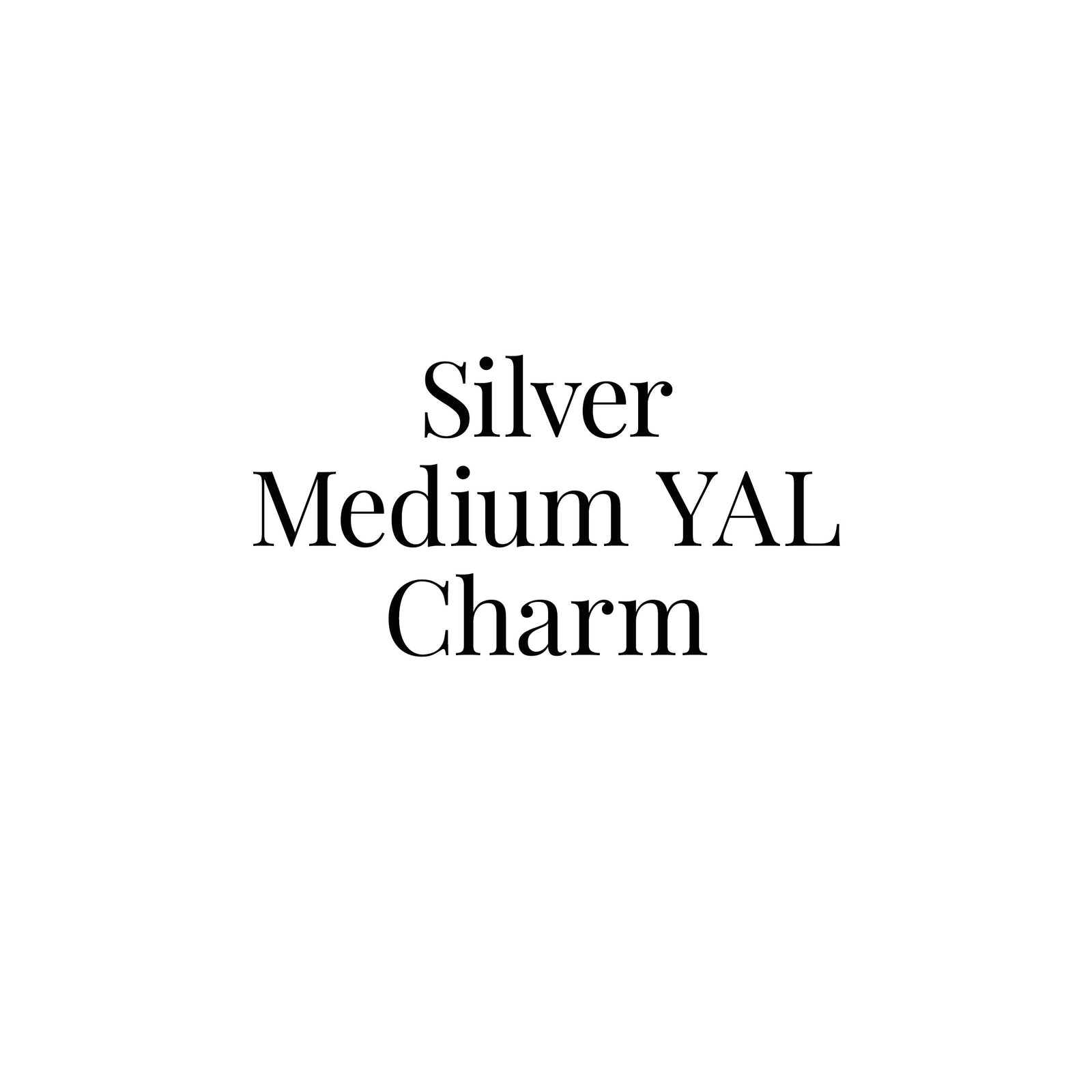 Silver Medium You Are Loved Charm