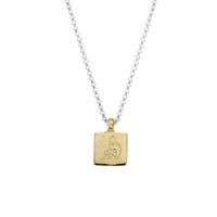 Silver & Gold Medium Aquarius Horoscope Necklace