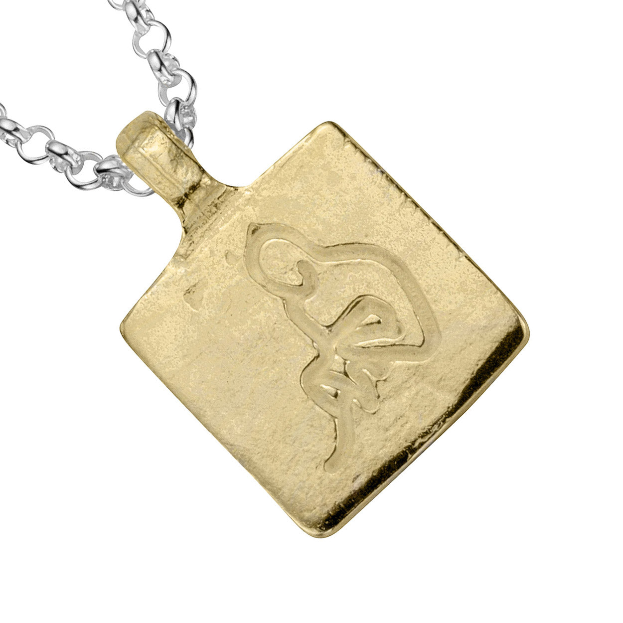 Silver & Gold Medium Aquarius Horoscope Necklace