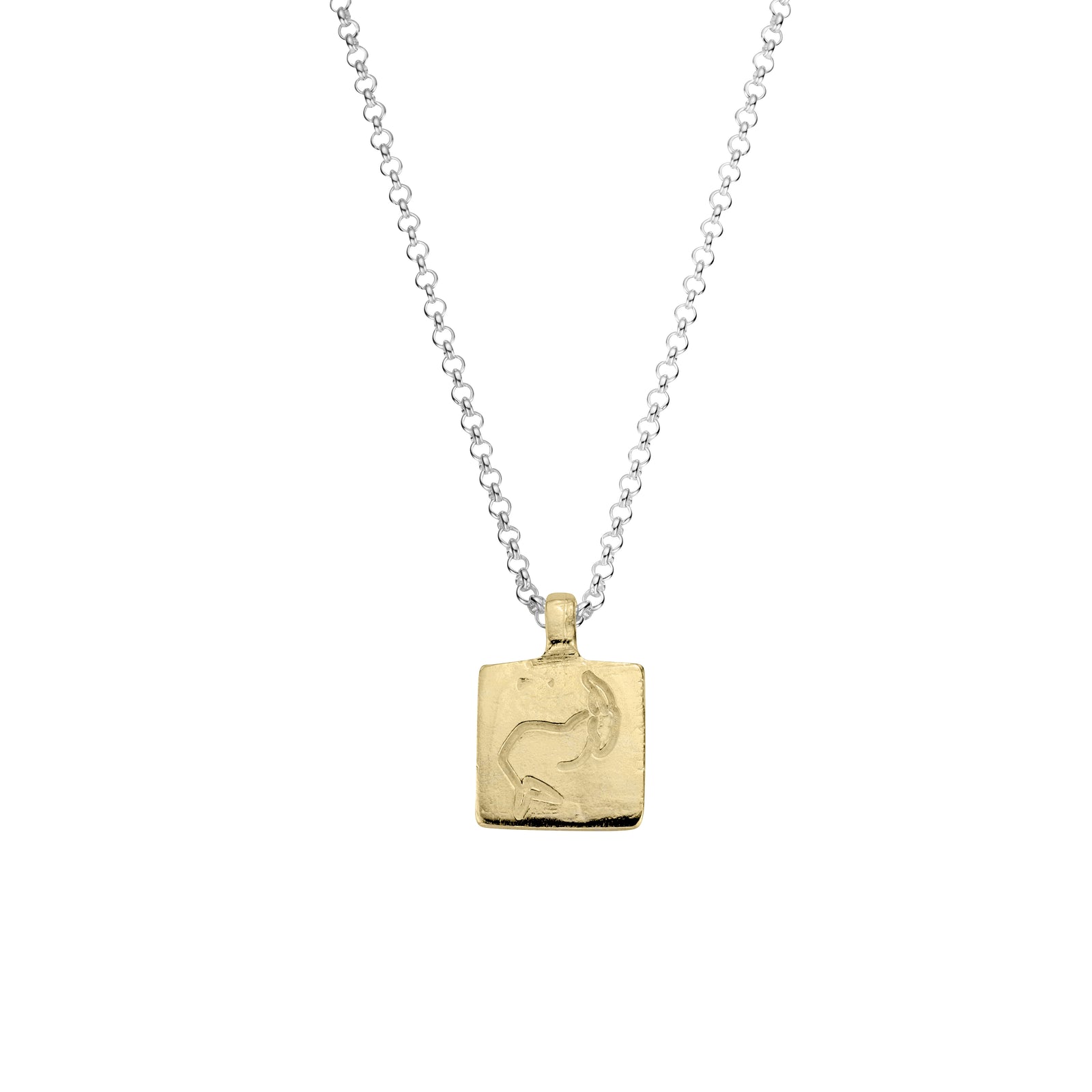 Silver & Gold Medium Capricorn Horoscope Necklace