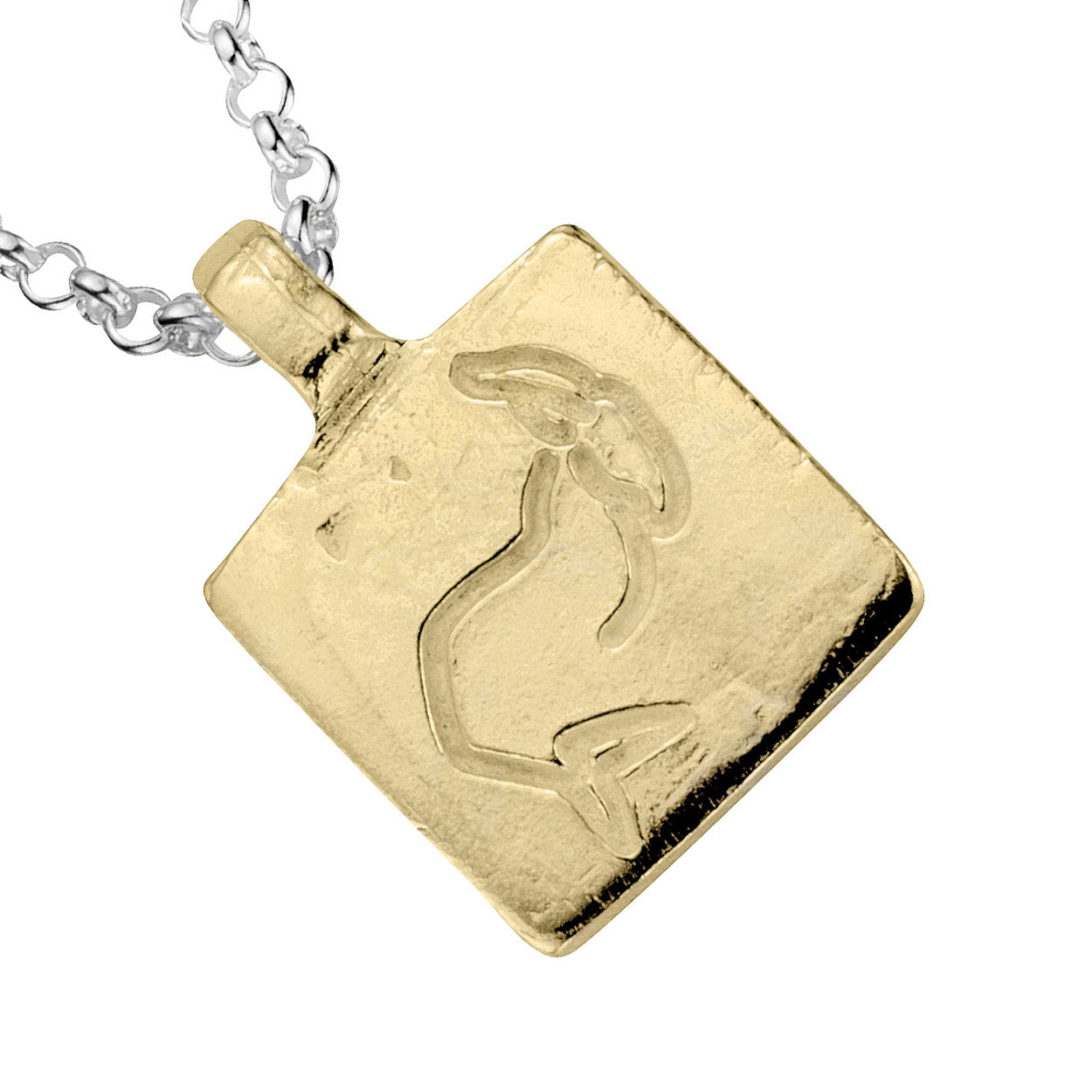 Silver & Gold Medium Capricorn Horoscope Necklace