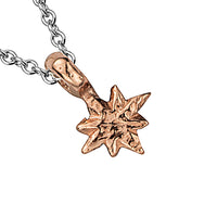 Silver & Rose Gold Baby North Star Necklace