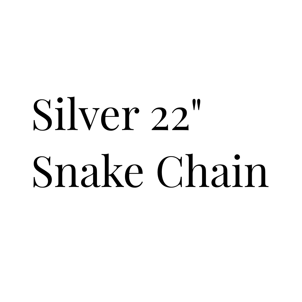 Silver 22" Snake Chain