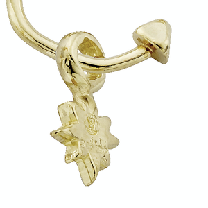 Gold Baby North Star Single Earring Charm