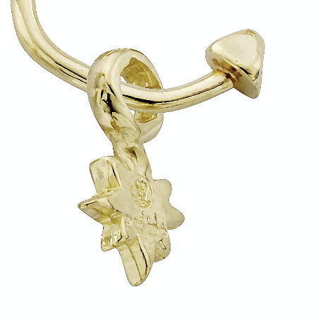 Gold Baby North Star Single Earring Charm